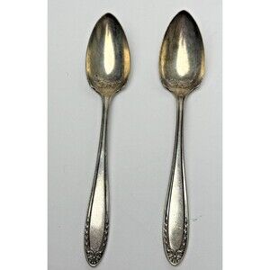 Oneida Community Par Plate 2 Fruit Spoons Bridal Wreath Antique Silverplate 1915